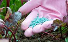 Pesticide--fertilisant-2